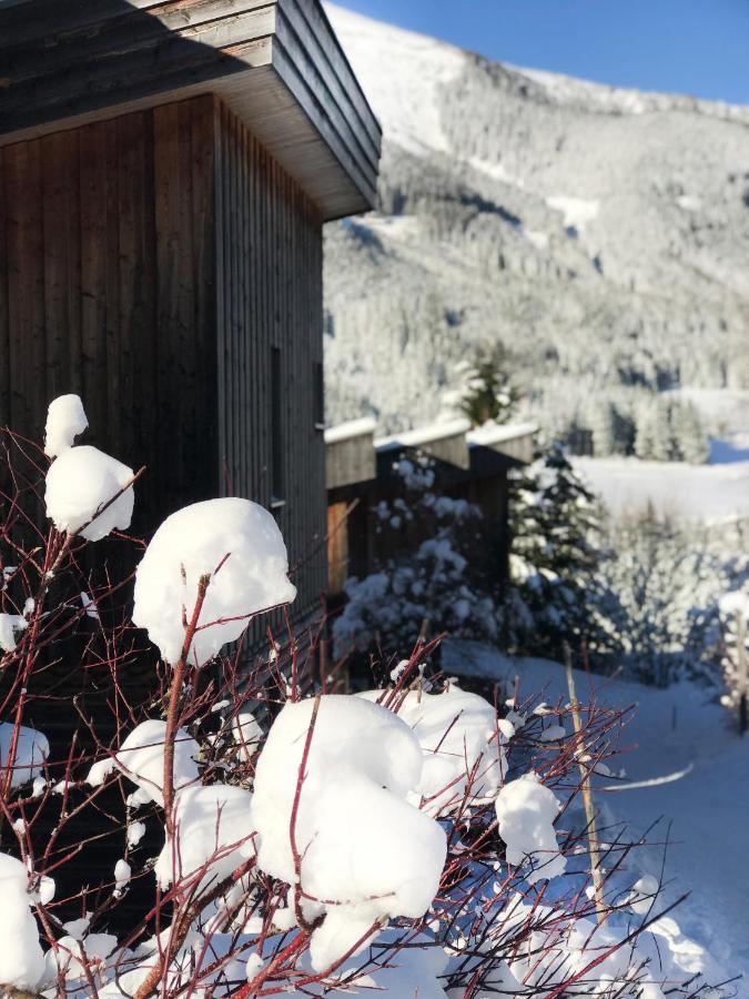 Chalet Sternwarte هوهنتاورن المظهر الخارجي الصورة